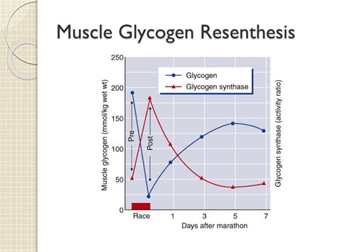 Ppt Nutrition And Sport Chapter 13 Powerpoint Presentation Free