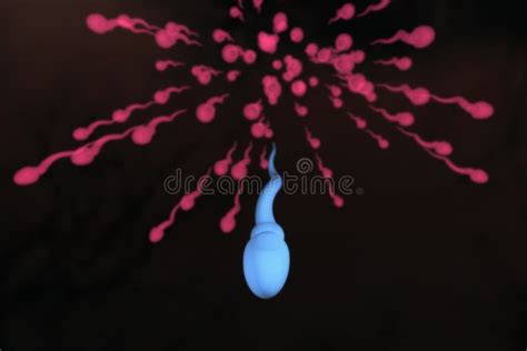 Male Sperm Swimming Royalty Free Stock Images Image 10077759