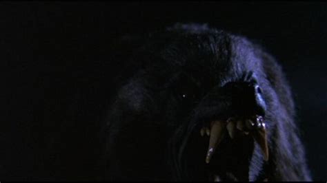Staff Picks An American Werewolf In London 1981 Video Culture