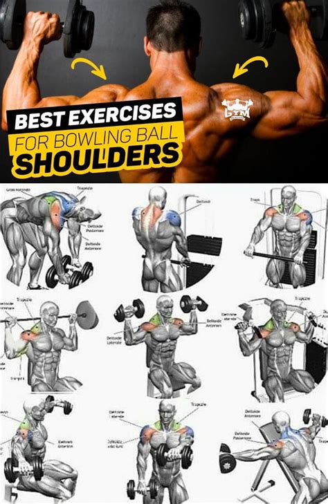 How To Exercises On The Shoulders Exercise Videos And Guides