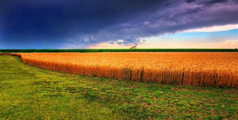 Filekansas Summer Wheat And Storm Panorama Wikimedia Commons