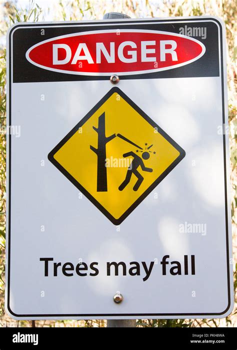 Danger Sign Warning Of Risk Of Falling Trees With Danger Highlighted