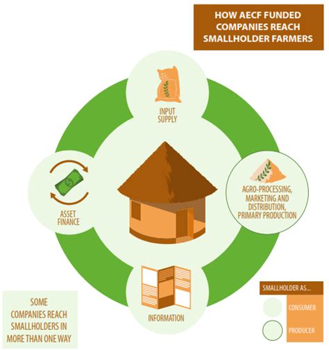 This is usually achieved through cracking and winnowing (deshelling). AECF: Reaching smallholder farmers as producers and ...