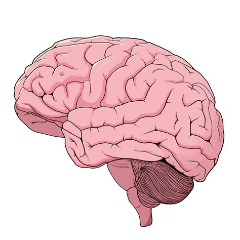 ANIMATION | Abi Inman