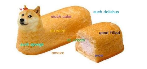 Trending images, videos and gifs related to doge! Know Your Dog Memes | Modern Dog magazine