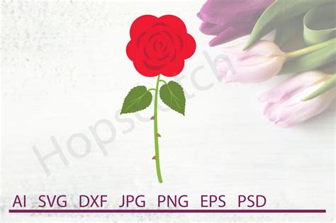 Rose SVG Rose DXF Cuttable File By Hopscotch Designs TheHungryJPEG