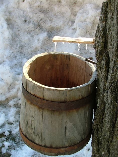 Here is where to find all three maple syrup buckets in weeping woods. Rural Blacksmith: Making Maple Syrup at The Farmers' Museum!