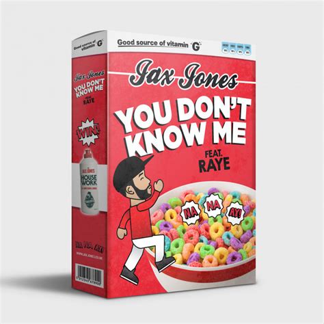 Jax Jones Musik You Dont Know Me Feat Raye