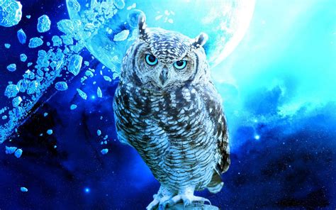 Owl Free Wallpapers Wallpaper Cave