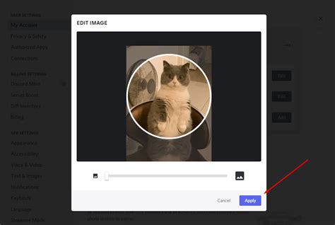 Discord Profile Picture Size Imagesee