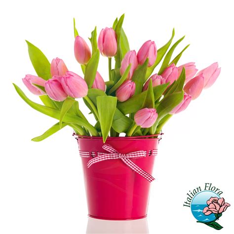 Immagini di buon compleanno con fiori in questo articolo troverai delle fantastiche immagini di buon compleanno con fiori ! Mazzo Tulipani rosa in vaso