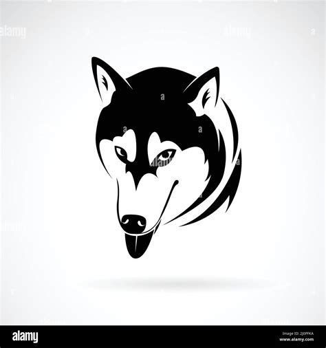 Vector Of Siberian Husky Dog Head Design On White Background Pet