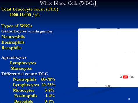 Ppt Physiological Functions Of White Blood Cells Powerpoint