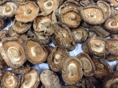 Dried Shiitake Mushroom Wholesale From Vietnam Tradekorea
