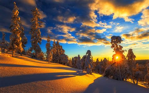 Wallpaper Sunset Snow Covered Pine Trees Winter 4k