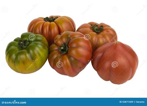 Marinda Tomatoes Stock Image Image Of Ripe Round Contrast 53871509