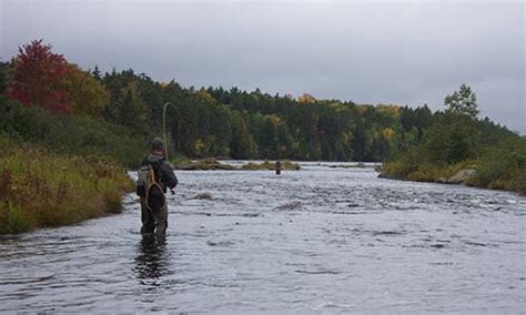 Fly Fishing Maine Guide Petersons Guide Service