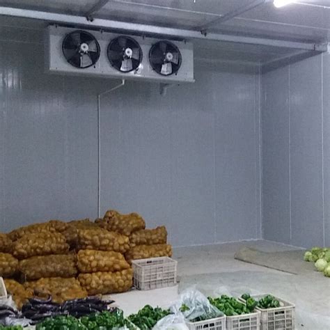 Walk In Refrigeration Coldroom For Pitaya Food Meat Seafood Onion Cold
