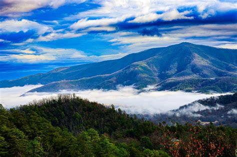 Capture The Moment With Our Photography Tours | Smoky Mountains Jeep Tours