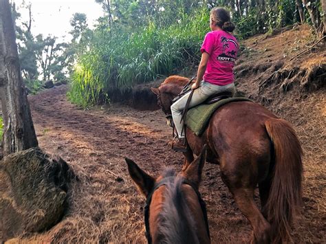 Horse Riding On O‘ahus North Shore With Happy Trails Hawai‘i