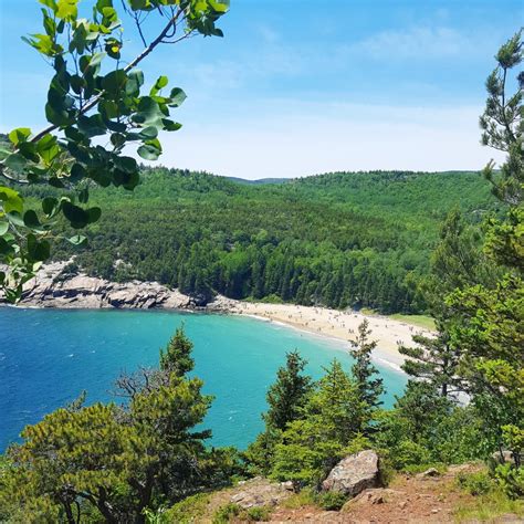 Beginners Guide To Sand Beach In Acadia National Park