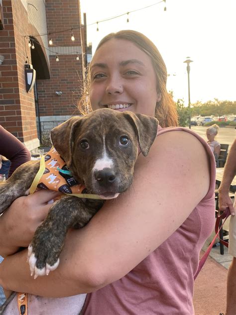 Stark County Humane Society