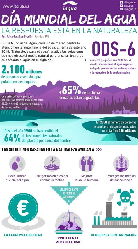 Día Mundial Del Agua Naturaleza Para El Agua Infografía Mx