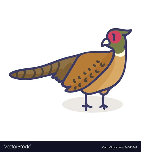 Cute Pheasant Cartoon Motif Royalty Free Vector Image