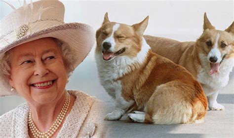 Royal Pet Names The Ten Most Popular Royal Pet Names In Britain