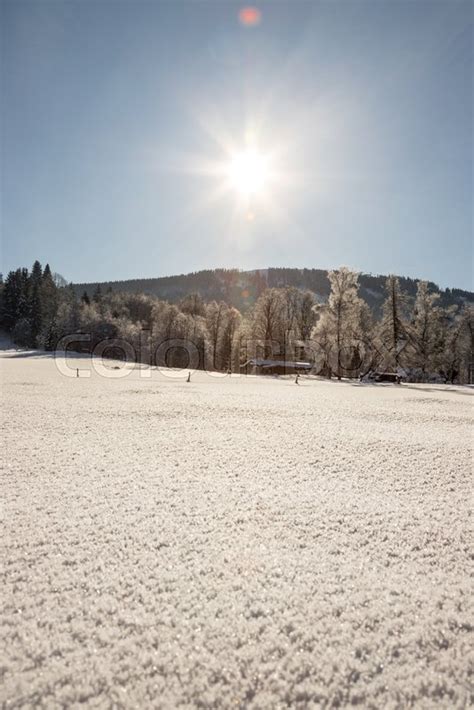 Sunny Winter Landscape In The Nature Stock Image Colourbox