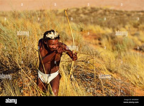 bushman of the san people hunting xaus lodge kalahari or kglagadi transfrontier park