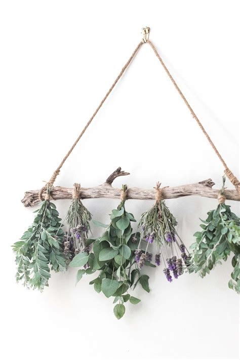 Simple Diy Herb Drying Rack For Your Garden Fresh Summer Herbs Herb