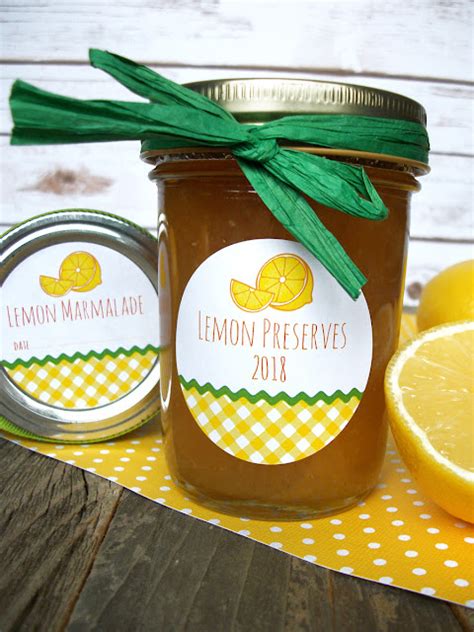 Colorful Adhesive Canning Jar Labels Gingham Lemon Lime Jelly Preserves Marmalade Canning