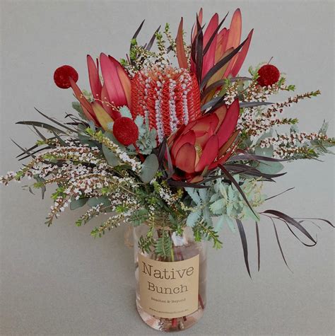 We did not find results for: Native flower Posy | Hotel flowers, Flower delivery, Dried ...