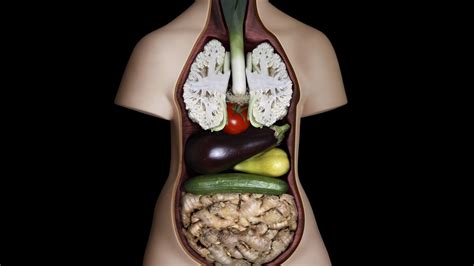The Internal Organs Of Vegetables Wallpapers And Images Wallpapers