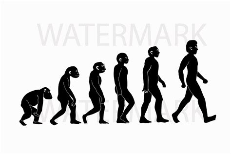 We did not find results for: Human Evolution SVG/JPG - Hand Drawing