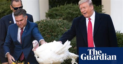 Trump Pardons Butter The Turkey With A Side Of Impeachment Jokes
