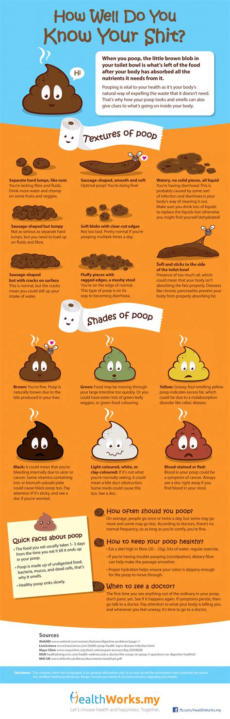 Infographic Know Your Poop
