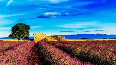 1920x1080px 1080p Free Download Provence France House Provence