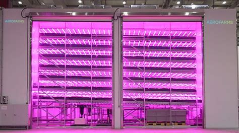 Aerofarms Debuts Agx Indoor Vertical Farm In Abu Dhabi