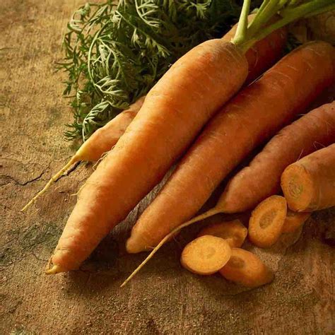 Heirloom Scarlet Nantes Carrot Seeds Ferry Morse Home Gardening 202