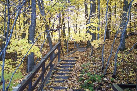 Best Time To See Minnesota Fall Colors 2023 When To See Roveme