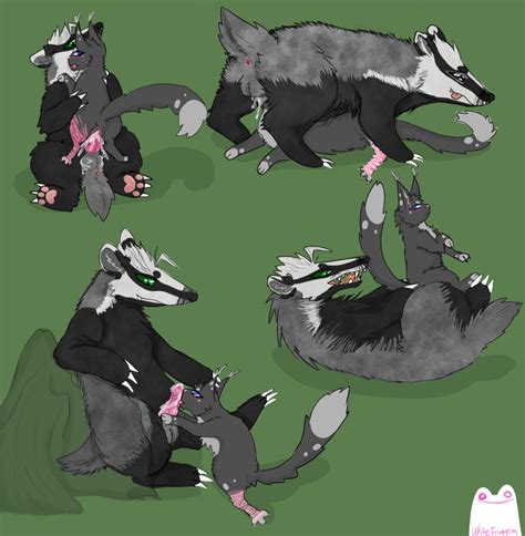 Rule 34 Absurd Res Badger Cinderpelt Warriors Domestic Cat Duo