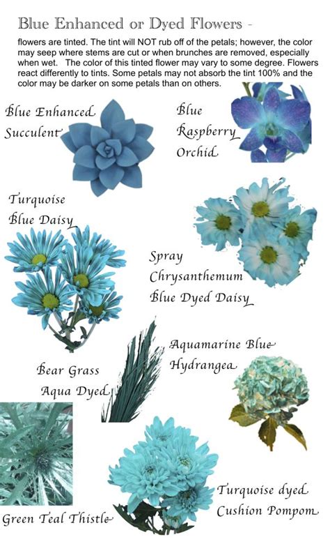 Flower Names By Color Flower Names Dyed Flowers Beautiful Flowers