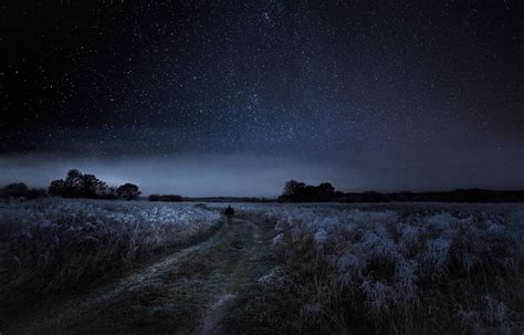 Walking Nature Landscape Starry Night Dirt Road Frost