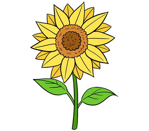 How To Draw A Sunflower Easy Step By Step Drawing Guides