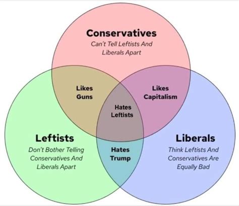 Political Venn Diagram Whoa Rpoliticalcompassmemes Political