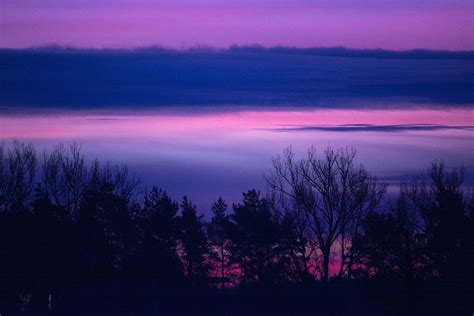 Clouds Forest Landscape Lilac Purple Serene Sunrise Sunset Hd Wallpaper