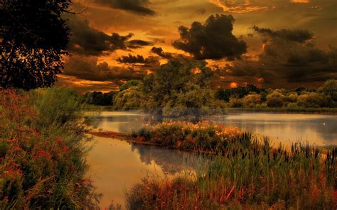 Pond Clouds Trees Nature Evening Lake Wallpapers Hd Desktop And