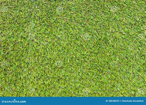 Closeup Of The Green Grass Stock Image Image Of Gear 48638055
